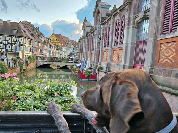 Day 12 – Grindelwald to&nbsp;Colmar