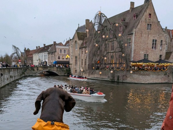 Day Trip to&nbsp;Bruges