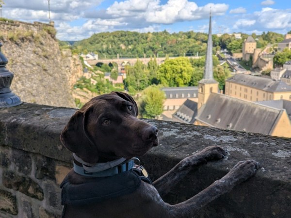 Day 14 –&nbsp;Luxembourg