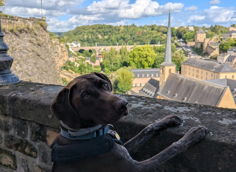 Day 14 –&nbsp;Luxembourg