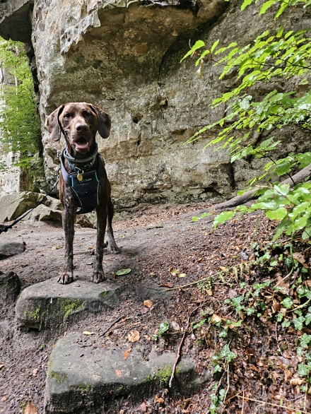 Day 15 – Berdorf, Mullerthal&nbsp;Region