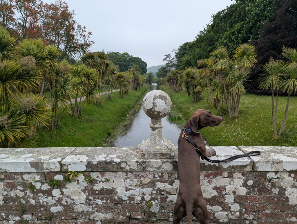 Under the Tuscan&nbsp;Sniff
