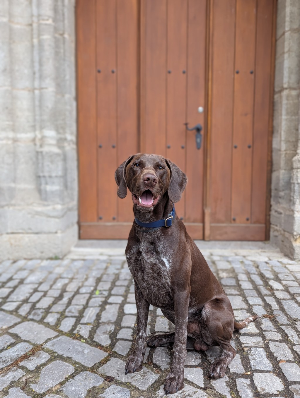 Day 2 – Rotterdam to Rothenburg ob der&nbsp;Tauber