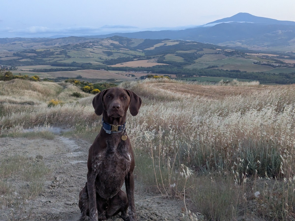 Day 12 -Tuscany