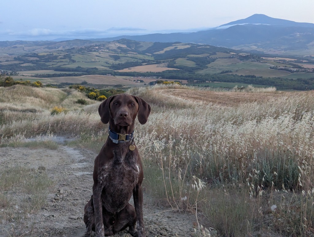 Day 12 -Tuscany