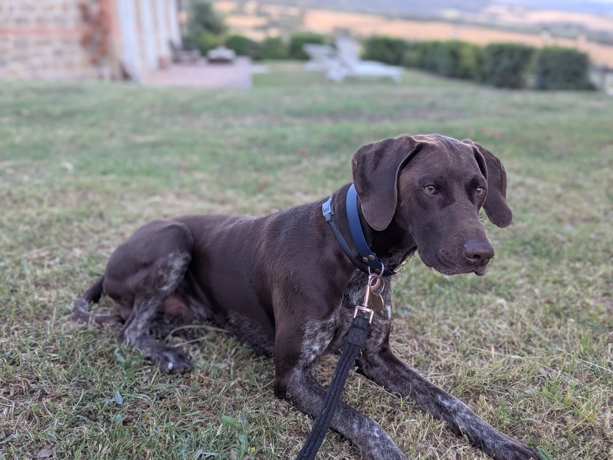 Day 13 –&nbsp;Tuscany
