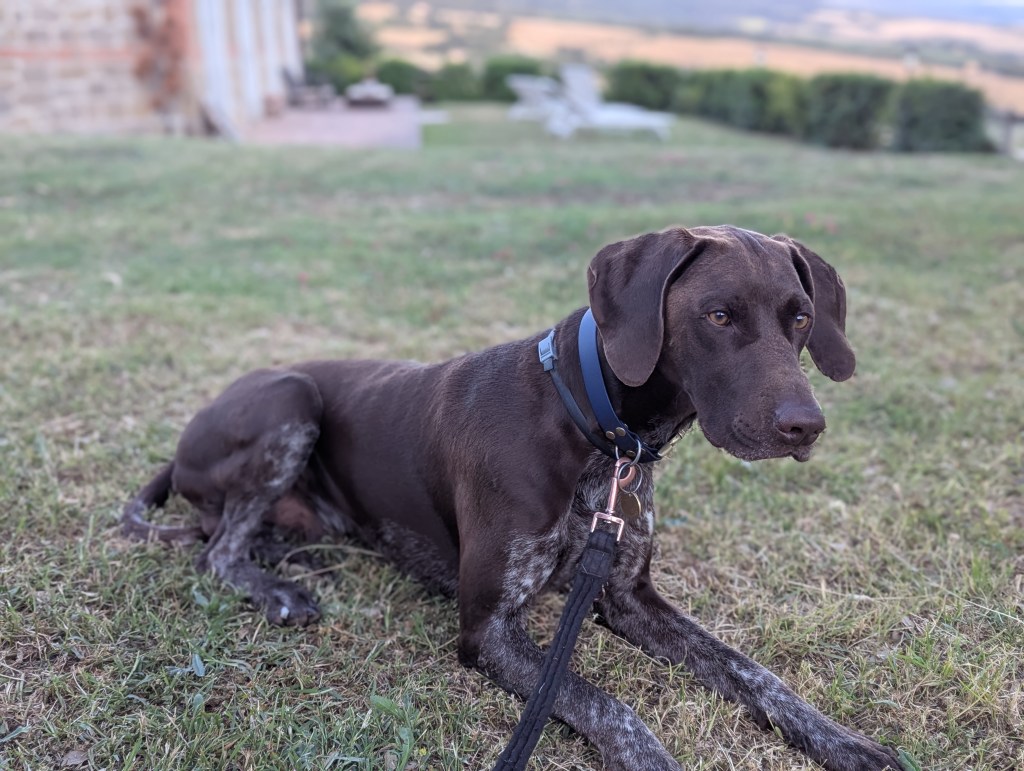 Day 13 –&nbsp;Tuscany