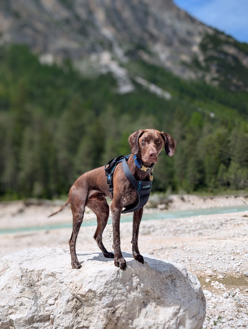 Day 17 –&nbsp;Cortina
