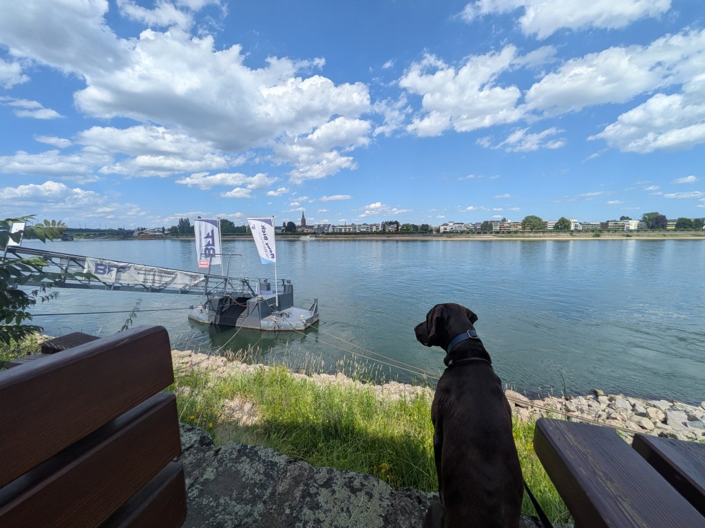 Day 20 – Nuremberg to&nbsp;Bonn