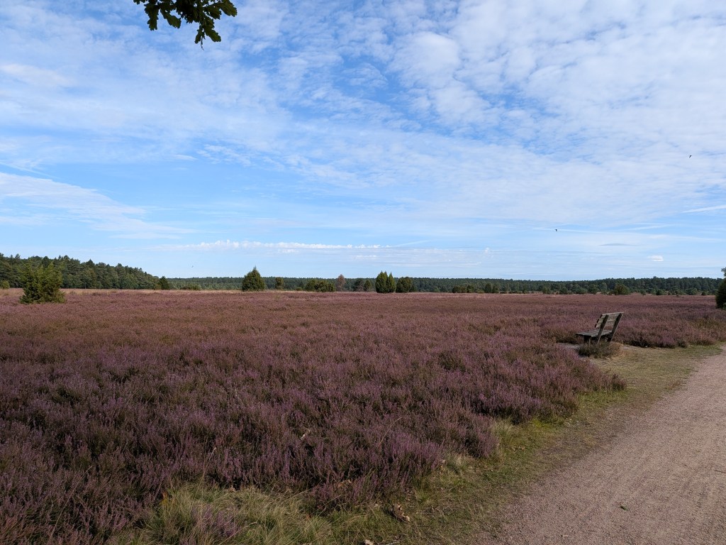 Day 3- Lüneburg to Silkeborg&nbsp;🇩🇰