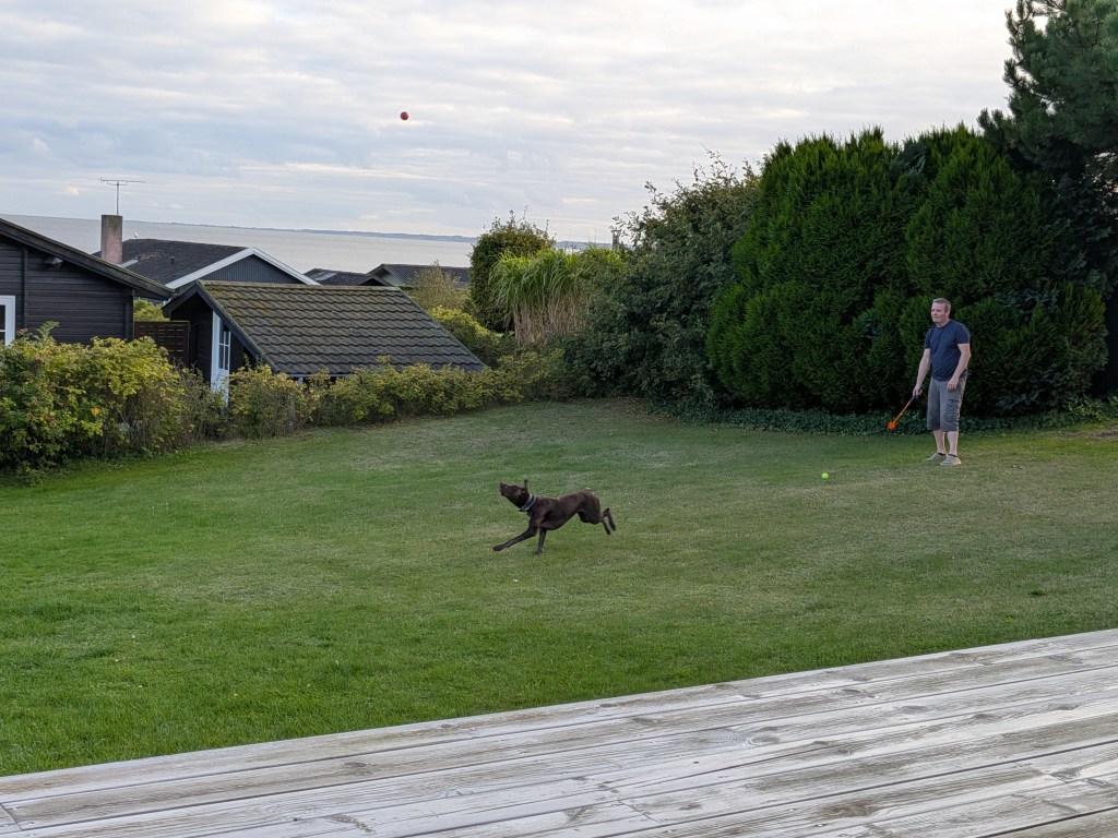 Day 6– Silkeborg to Faaborg&nbsp;🇩🇰🐾