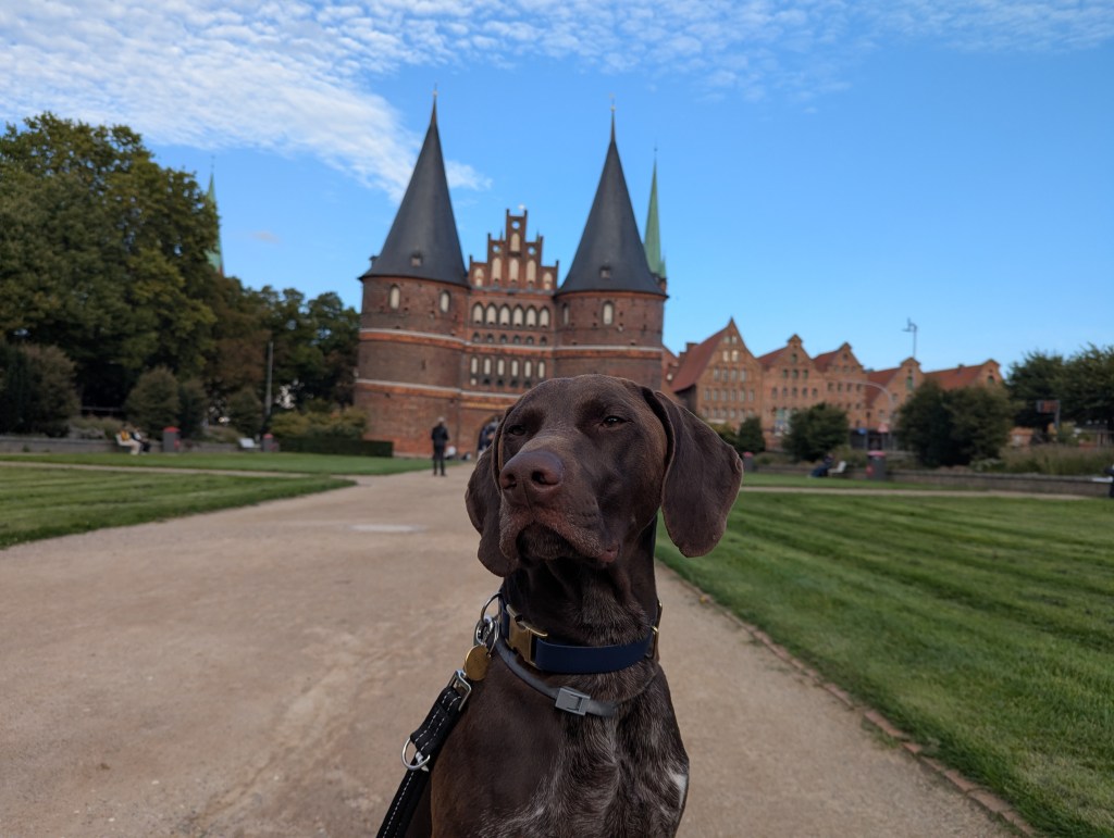 Day 10 – Copenhagen → Maribo → Lübeck&nbsp;🇩🇰🇩🇪🐾