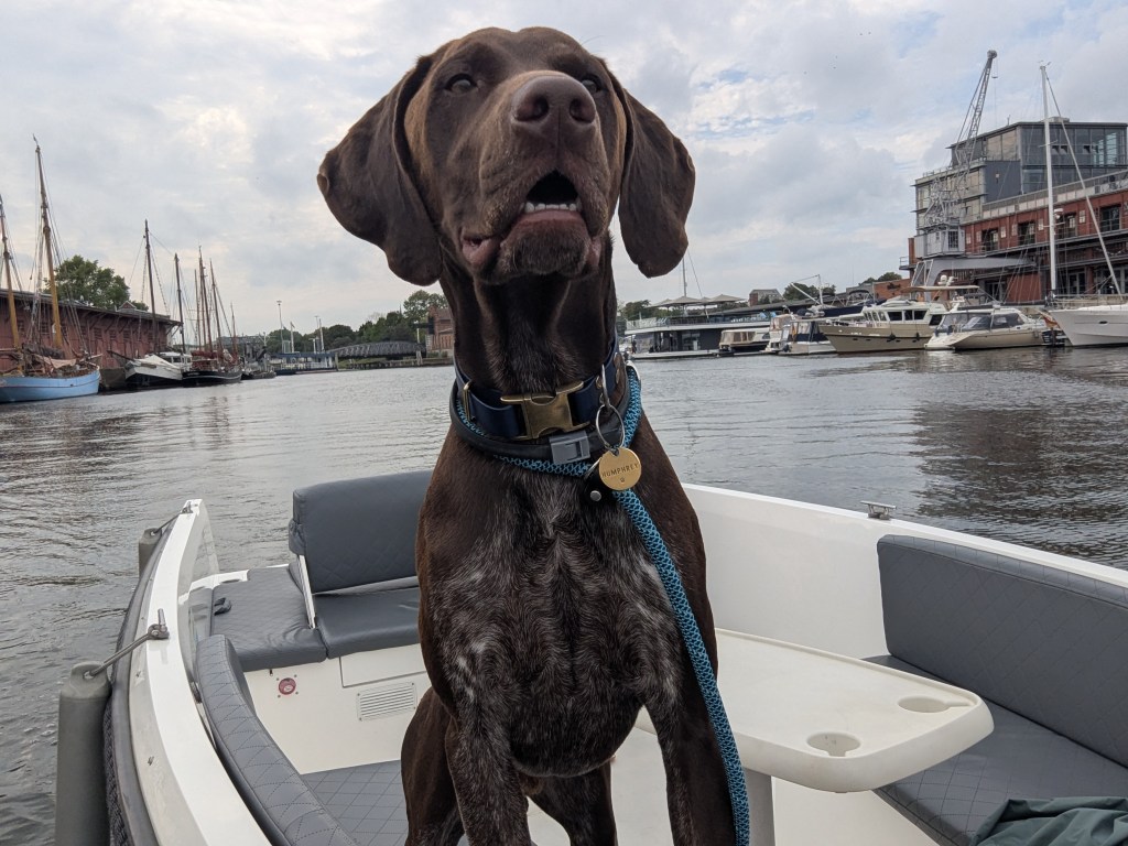 Day 11 – Lübeck&nbsp;🇩🇪🐾